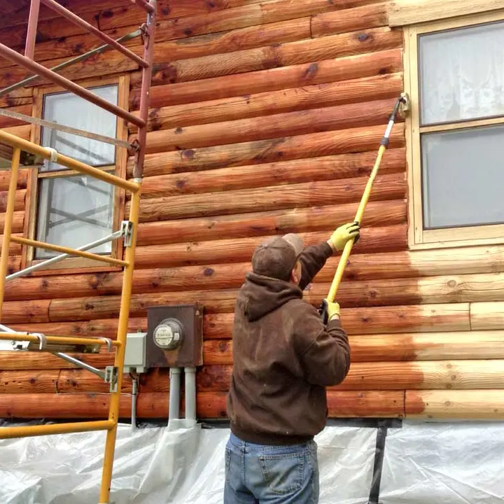 Log Homes washing Services